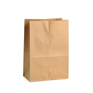 Paper bag 19x10x33cm