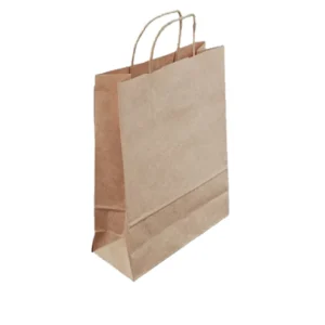 Paper Bag with Handle 21x15x41cm